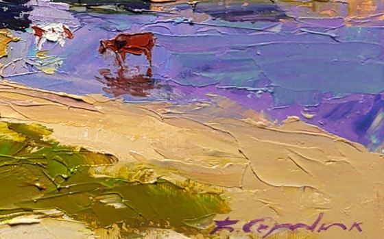 Image 1 of In der Nähe des Summer River