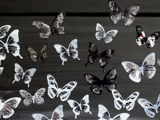 Modern painting with butterflies, black and white, CB, Paintings & Drawings, Canvas, Wood (photo 3 of 13)