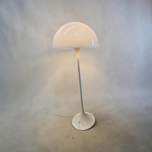 Phantanella lamp