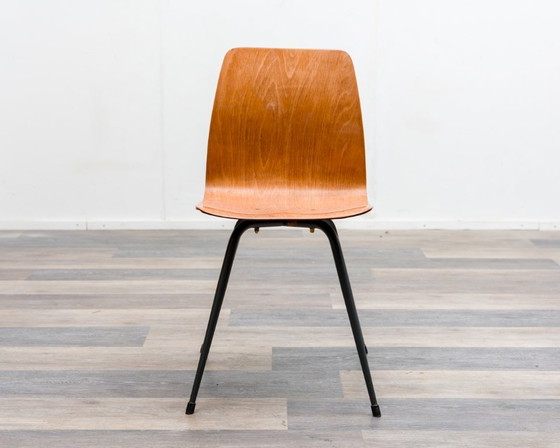 Image 1 of 6er Set Pagholz-Stühle in zweifarbiger Ausführung, Hersteller Pag Presswerke.