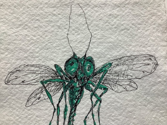 Image 1 of Dessin unique d'Hester Schroor