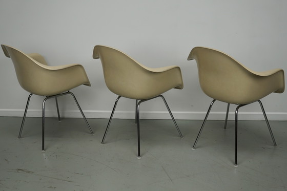 Image 1 of Ensemble de trois fauteuils DAX en fibre de verre parchemin Eames pour Herman Miller / Vitra