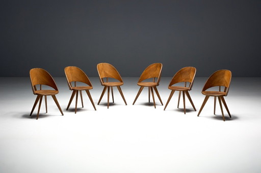 Mid-Century Plywood Dining Chairs, Italy, 1950s