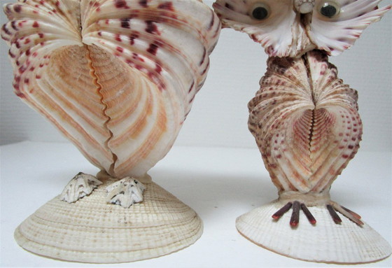 Image 1 of due gufi scultura vintage in conchiglia