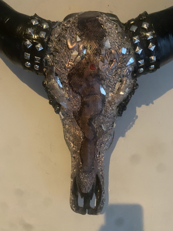 Image 1 of Magnifique crâne de buffle d'eau