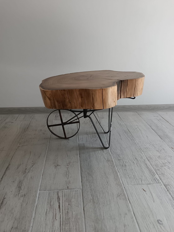 Image 1 of Acacia Bloom – Un omaggio alla grazia naturale