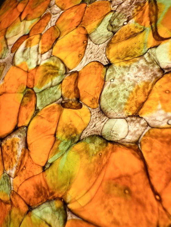 Image 1 of Mid Century paddestoel lamp/tafellamp van Peil & Putzler, Duitsland, jaren 1970