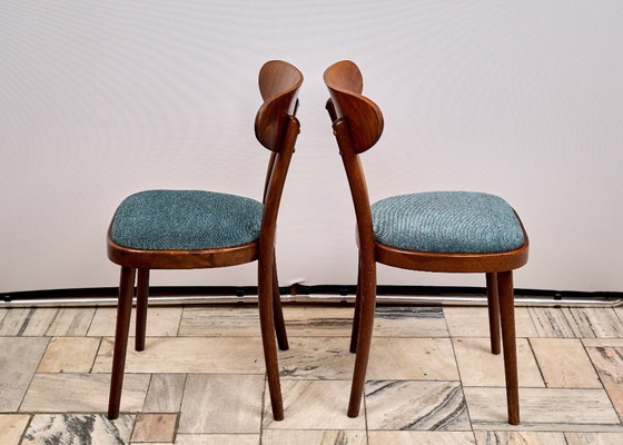 Image 1 of Juego de 4 sillas de comedor, TON, década de 1960, Checoslovaquia