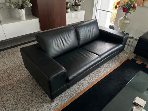 2 sofás de 2,5 plazas Anti Pode (Leolux) – banken, Leather, Metal