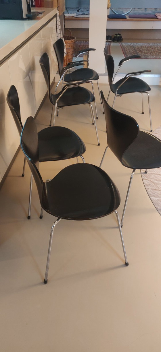6x Sedie Arne Jaconsen nere, Serie 7 – Louis Poulsen, Sedie da pranzo, Legno (photo 9 of 9)