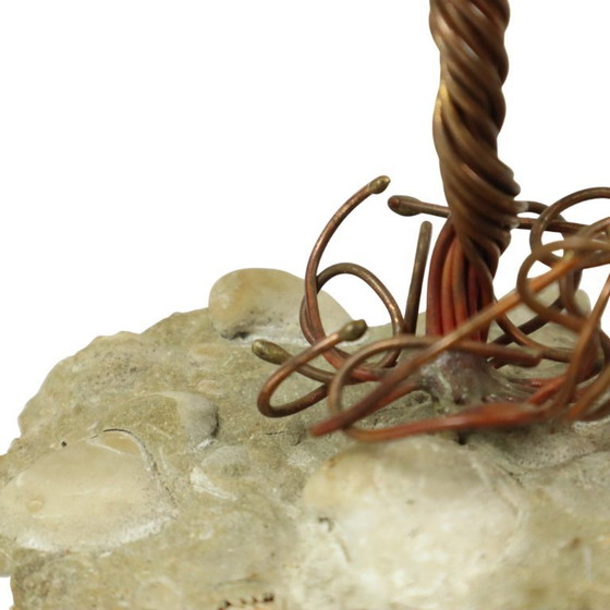 Image 1 of Palma sulla roccia Daniel D'Haeseleer