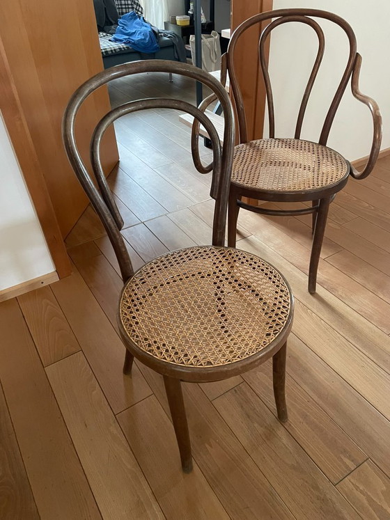 Image 1 of 6 chaises viennoises en osier Thonet, meubles en bois courbé ZPM Radomsko