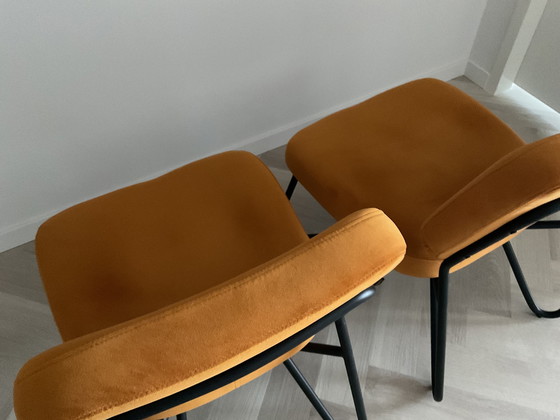 Image 1 of Fauteuil en velours Bronx71, lot de 2