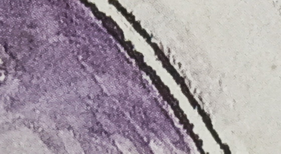 Image 1 of Póster retromóvil original firmado a mano de 1986 - François Bruère - enmarcado detrás de un cristal.