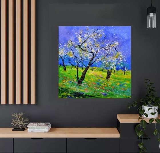 Image 1 of Blooming apple trees in spring