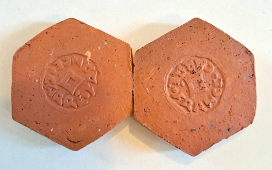 Image 1 of Roger Capron,  69 zeshoektegeltjes decor en uni