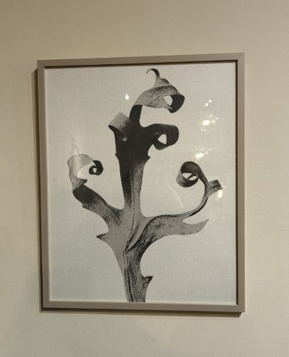 Image 1 of Boconcept - Delphinium Gallery