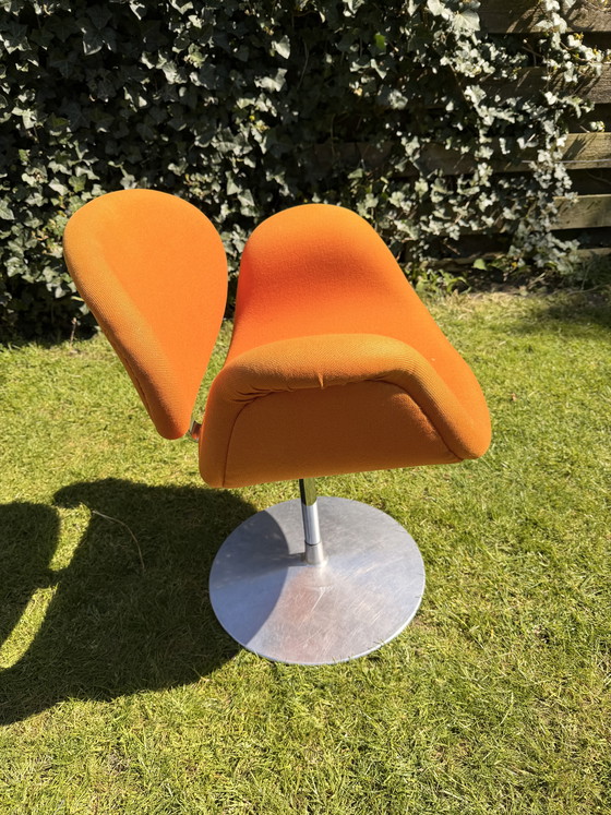 Image 1 of Little tulip Artifort (orange)