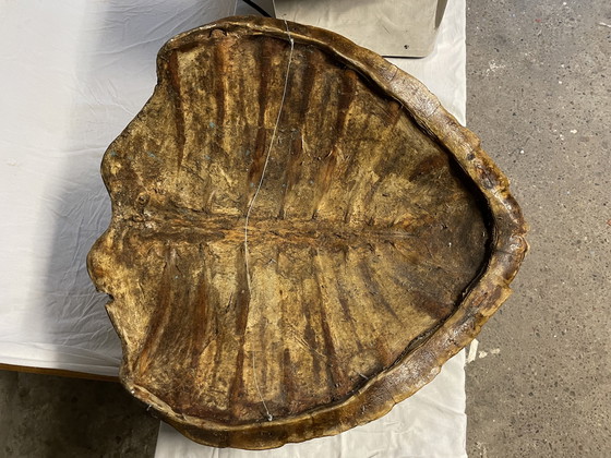 Image 1 of Decoración de pared de tortuga