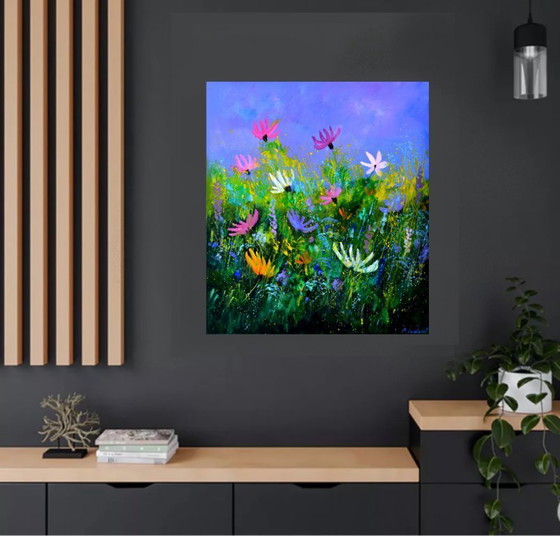 Image 1 of A few cosmos flowers 