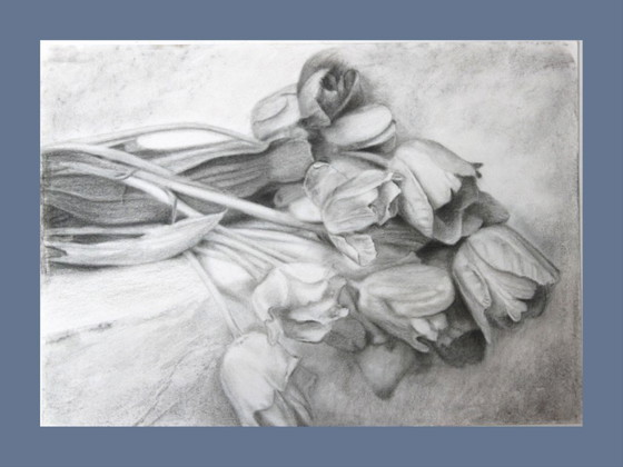 Image 1 of Charcoal drawing of tulips on paper. Tulip painting. Tulip drawing. Flower drawing. Flower painting. Signed.