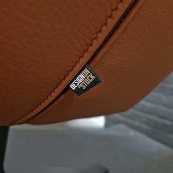 Design su modello stock Djenne – Design on Stock, Poltrone, Leather, Metal (photo 3 of 10)