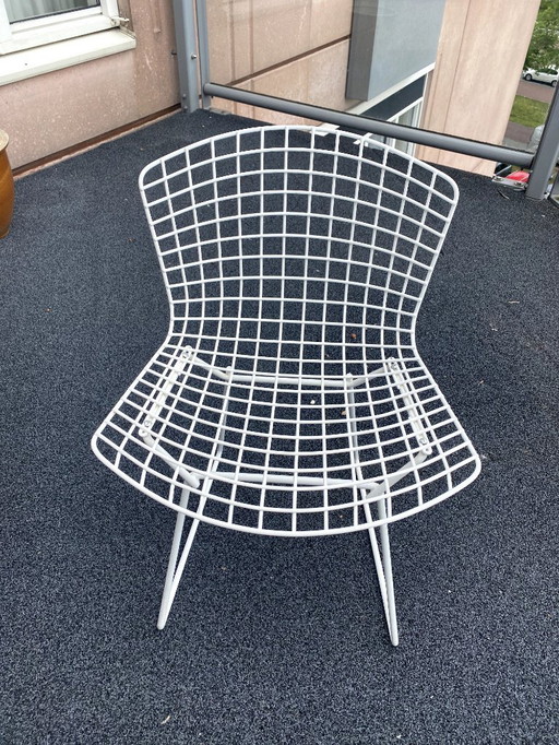 Set 4x designer stoel Knoll Bertoia / Vintage