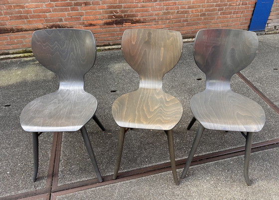 Image 1 of 6x chaises de salle à manger design Linteloo Tulipani 