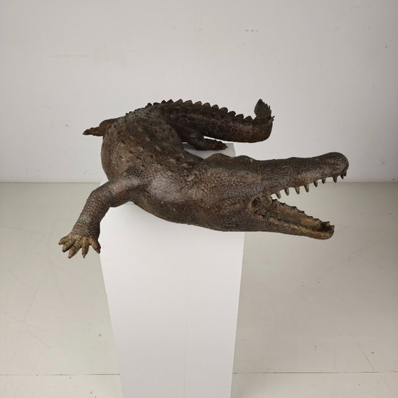 Image 1 of Monumental bronze crocodile sculpture from the 20th century