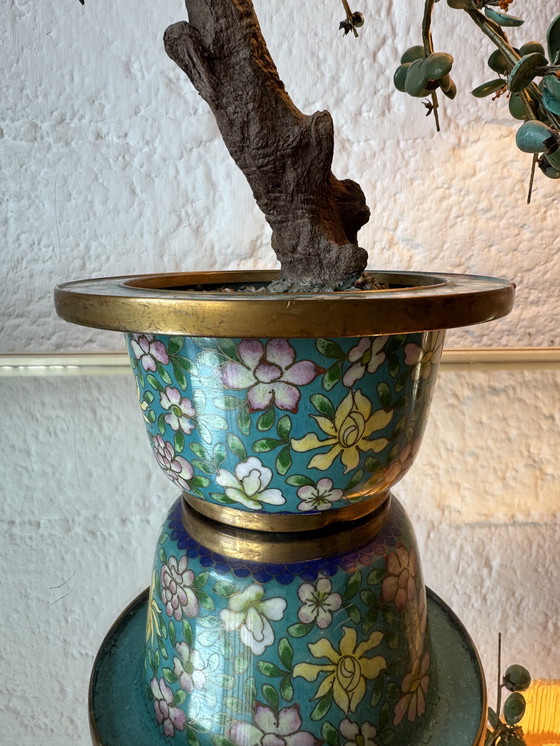 Image 1 of Bonsai turchese e cloisonné, periodo Repubblica Cinese