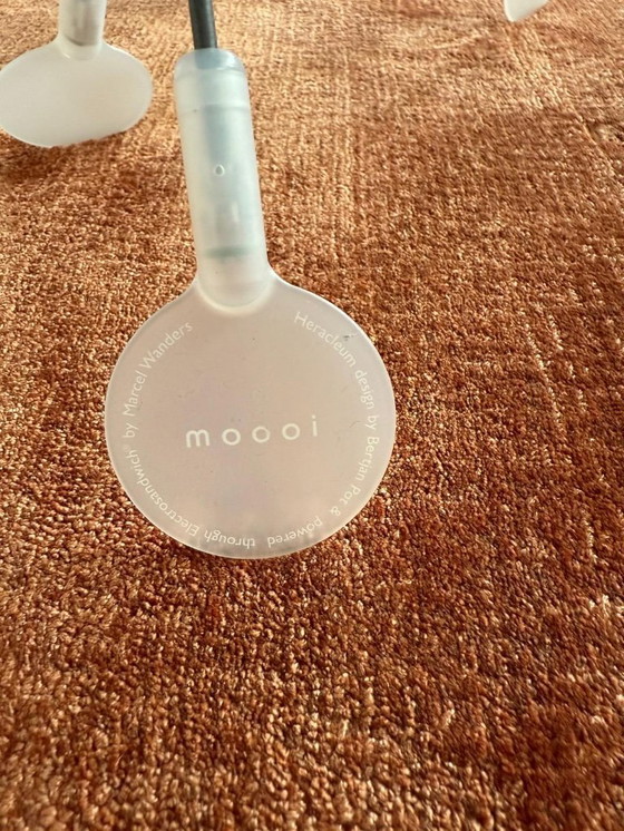 Image 1 of Moooi Heracleum II piccolo nichel