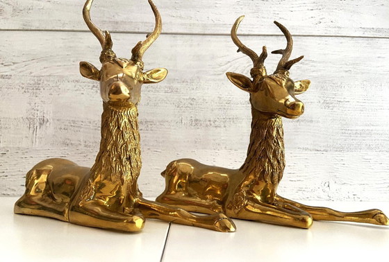 Image 1 of Beeldhouwwerk Beeldje Vintage Duo De Cerfs Brons Doré 1950 - 1960 Ontwerp