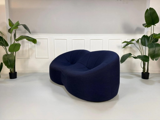 Ligne Roset Canapé Design Pumpkin Blau Stoff 2 Places