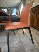 Stoelen Cattelan Italia model Arcadia