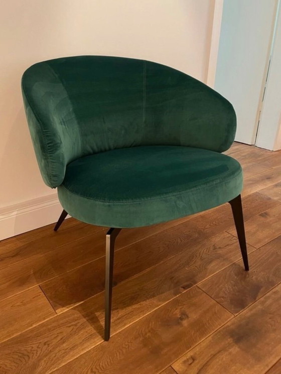 Image 1 of Lema - "Bice" armchair