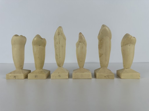 6 modelli didattici vintage - odontoiatria
