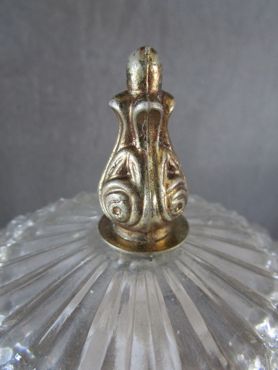 Image 1 of Techo de piña Riñón Posible/Probablemente Sciolari