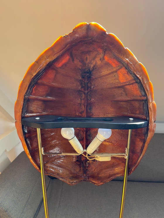 Image 1 of Zeldzame antieke lamp van echt schildpadschild - een echt verzamelobject