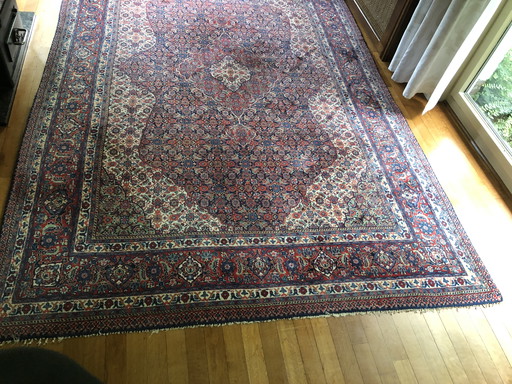 Saruk Persian rug 325X210