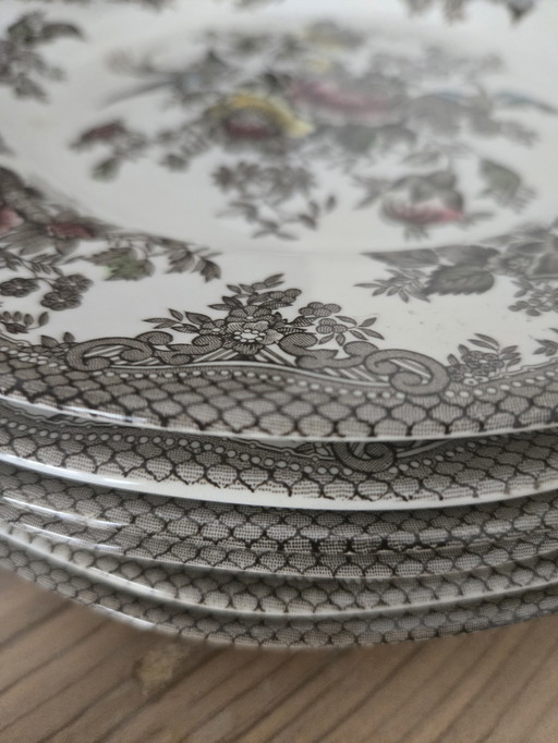 Assiette plate 6 pièces Wedgwood Oriental Pheasants colour