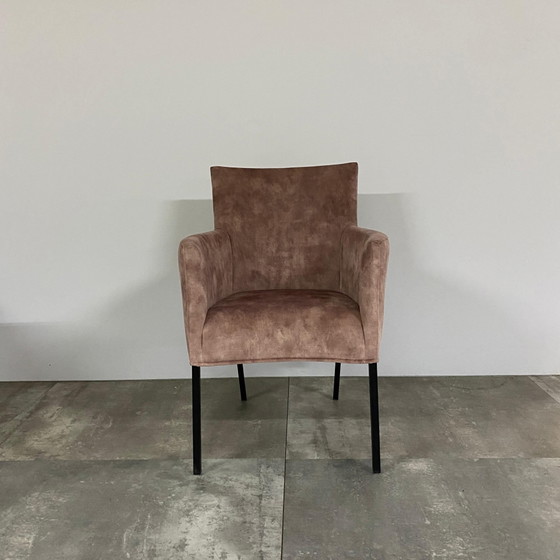Chamäleon-Set mit 4 Teilen – Bert Plantagie, Esszimmerstühle (photo 2 of 4)