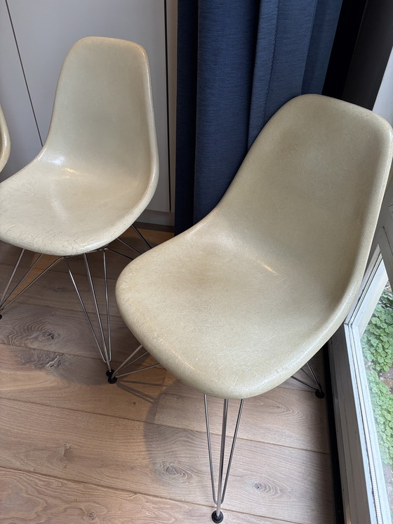 Image 1 of 4 sedie laterali vintage Eames Miller DSR in fibra di vetro – pergamena