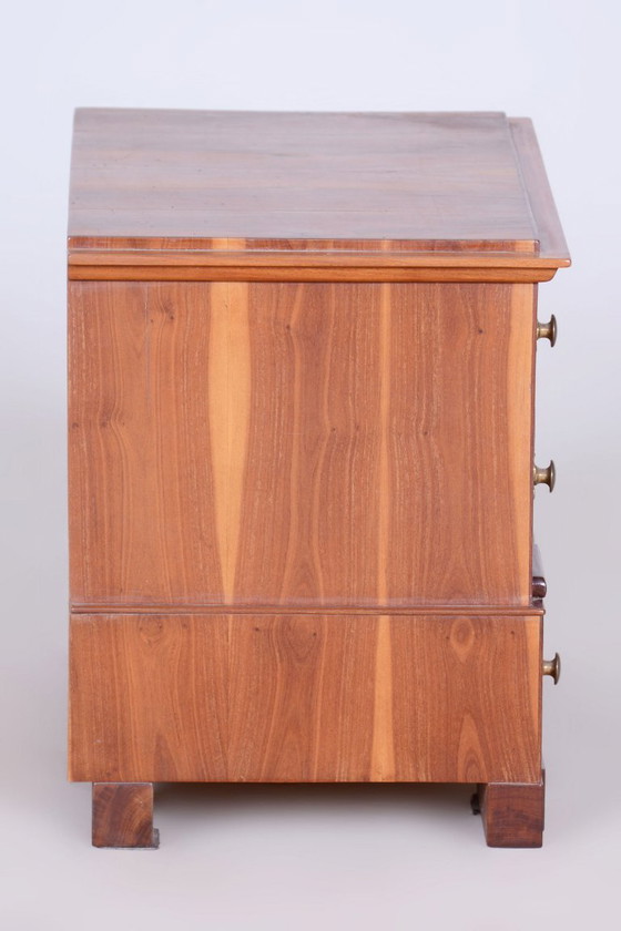 Gerestaureerde Biedermeier sieradendoos, sparrenhout, pruimenhout, Duitsland, jaren 1830 (photo 8 of 10)