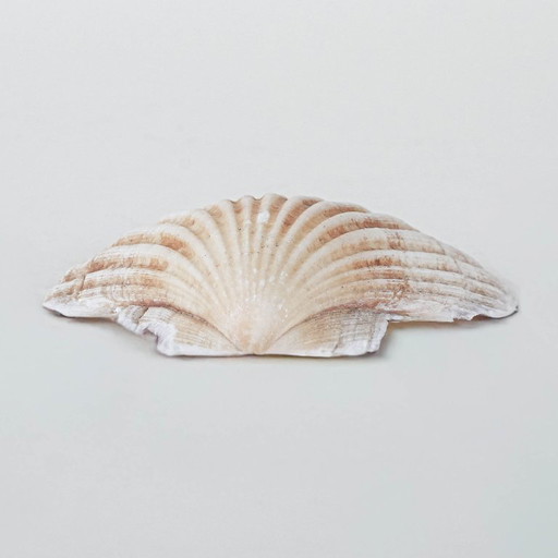 Coquillage décoratif, style bohème, années 1980