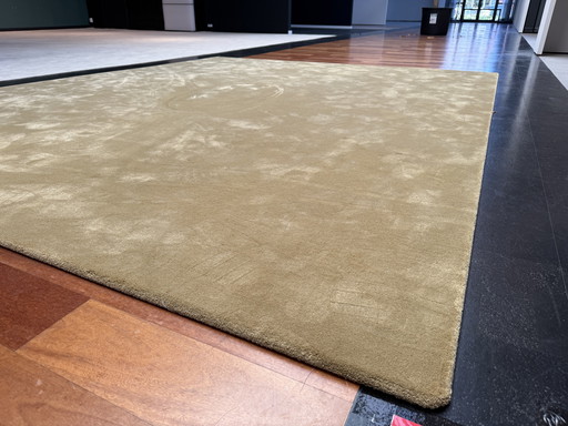 Mostrar modelo Alfombra Besouw 310x390