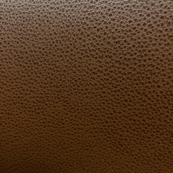 Image 1 of Dehlfing Dario fauteuil