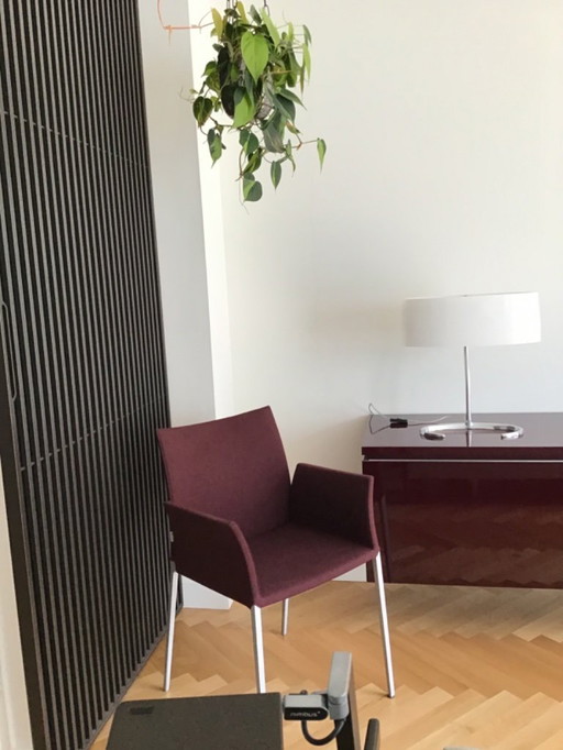 6 x poltrona Lia di Zanotta