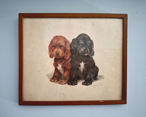 Cuadro Litografía vintage americana ca.1950 de Grace Lopez - cachorros de Cocker Spaniel - Decoración