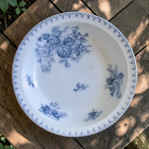 19th century ironstone shallow dish signed Sarreguemines, Flore collection