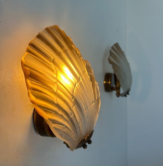 Image 1 of Coppia di appliques a conchiglia, vetro e ottone, Francia 1960